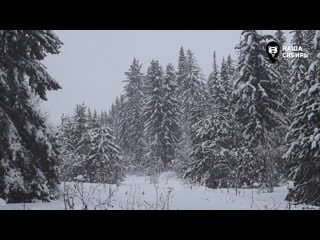 Live моя кладоа мира