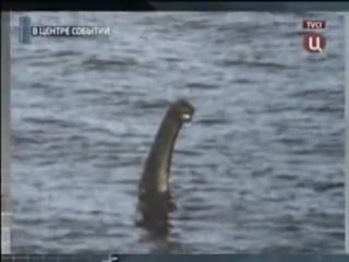 Я капец испугался! когда оно посмотрело чудовище