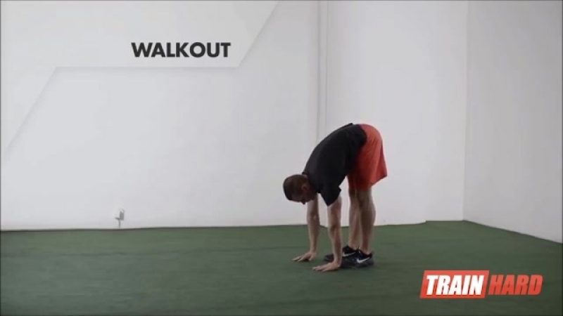 50 лучших упражнений с собственным весом