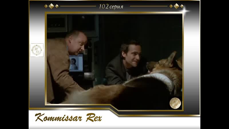 Komissar rex 9x01 attentat auf rex / комиссар рекс 102 серия покушение на рекса
