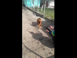 Vid 20200320 140122 mp4