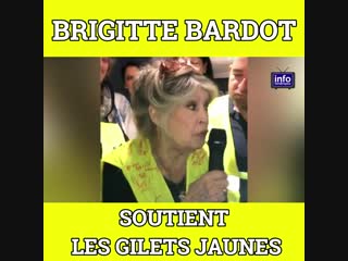 💥brigitte bardot soutient les gilets jaune