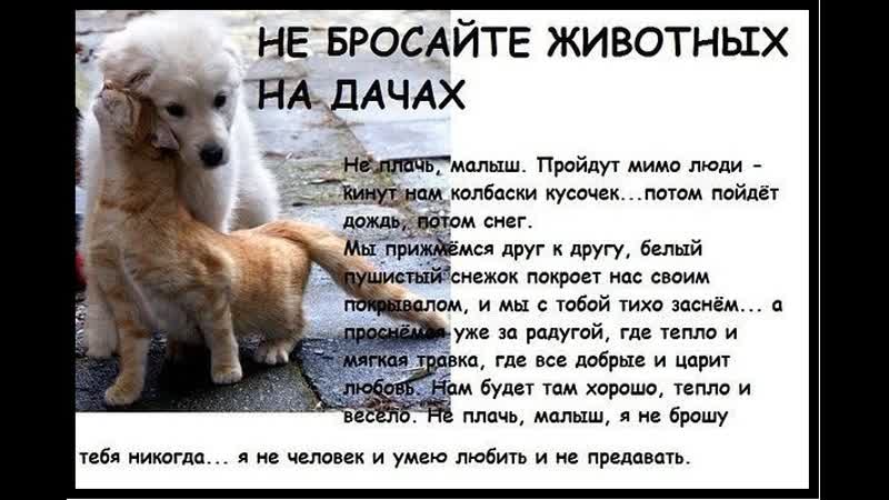 Друзья, не бросайте молодые