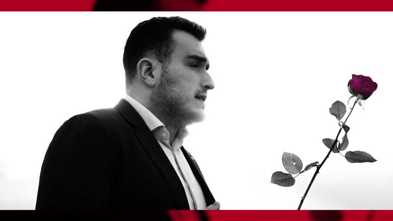 Haris sefer dragana (2019)