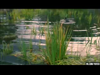 Бесплатный vip ya devstv yu лет porn (360p) mp4