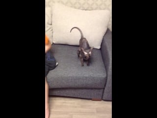 Trim cbdb8e14 2d3d 4ff9 96cf d08c39521234