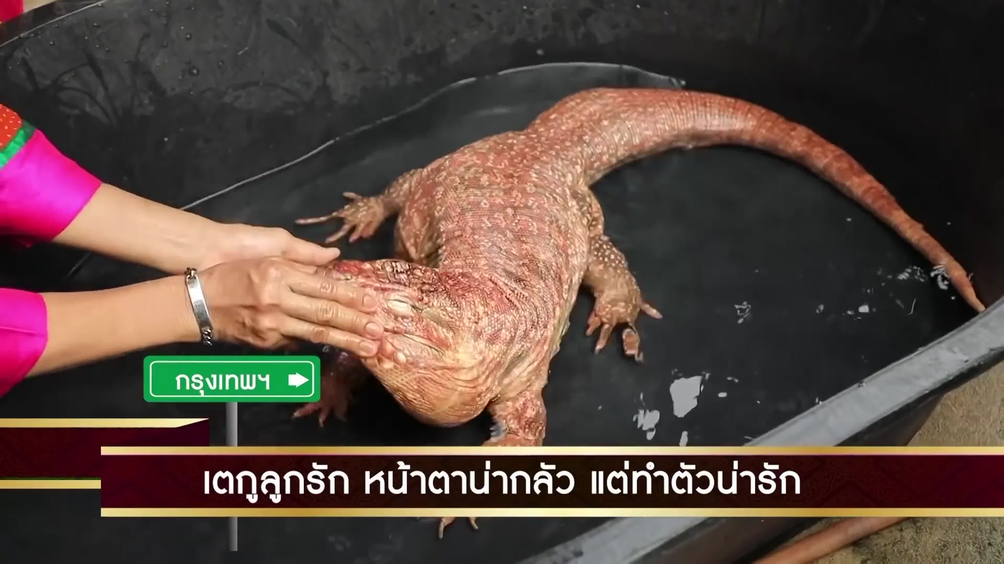 ไทยทึ่ง wow! thailand | พระพิฆเนศ 3 ปาง นั่ง นอน ยืน ใหญ่ที่สุดในโลก ิงเทรา