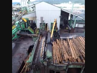 Incredible aerial journey shows logs being turned to lumber at sawmill