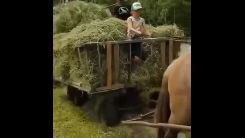 Неплохой прибор ytgkj[jq ghb,jh ytgkj[jq ghb,jh ytgkj[jq ghb,jh