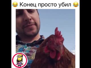 А это курица познакомит,с одним петухом😂