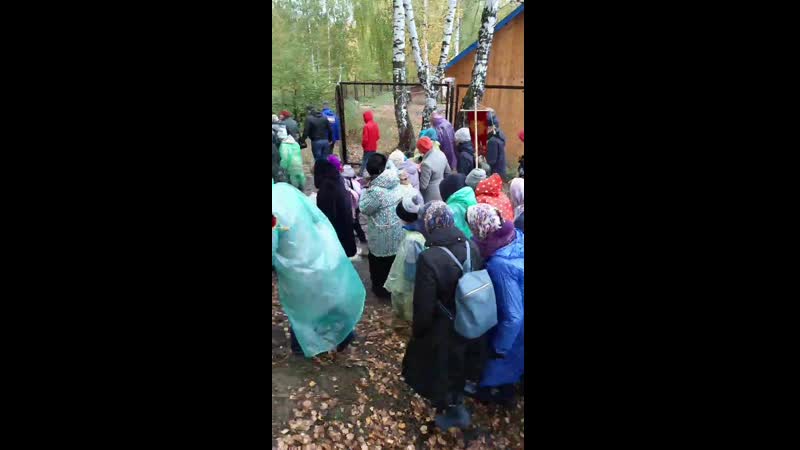 Молодые крестный ход екатеринбург 2019