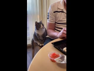 Scoome, scoome i like that fishy stuff too you know