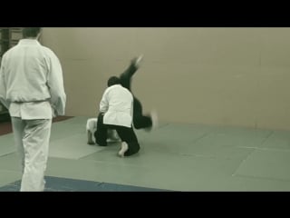 Sinten ryu aikijujutsu нарезка одной тренирои (не постаноа) 200818