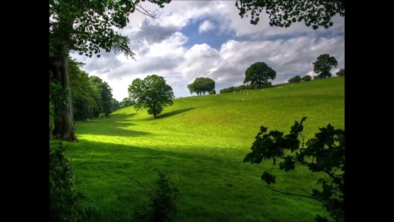 Учебные фильмы