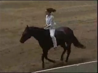 Stacy westfall bridleless bareback reining horseback riding