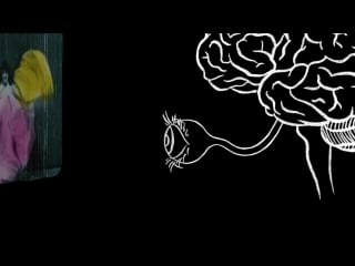 Animation basics the optical illusion of motion ted ed