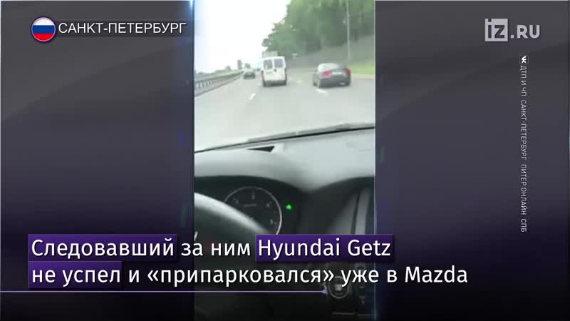 Пернатые нарушители