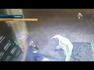 Пьянка в баре закончилась побегом от вооруженных дебоширов (видео)