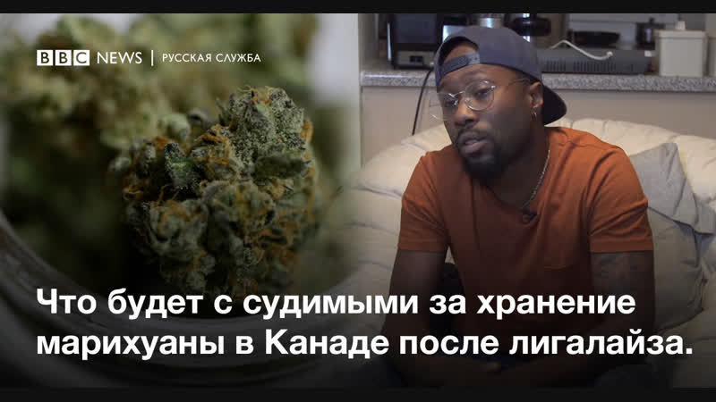 Легалайз что будет с осужденными за хранение марихуаны в канаде