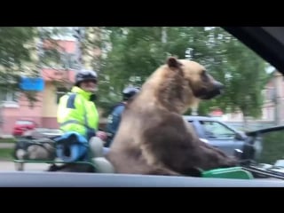 Попутные грузоперевозки в архангельске котлас северодвинск коряжма вельск