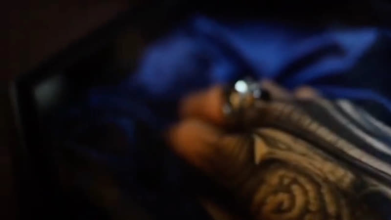 Stepan negur bioorganic hand