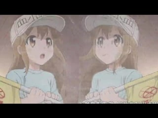 【hataraku saibou】 chilled platelet