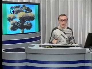 Экология передача 11 температура и вода мир австралийских пустынь