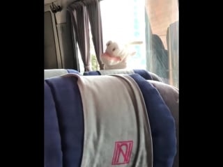 Steffan & tim instagram