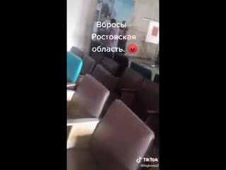 #проститутки за 5 тыс даже в попу дадут решили твою судьбу