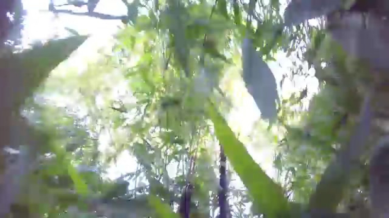 Подборка свежих фейлов