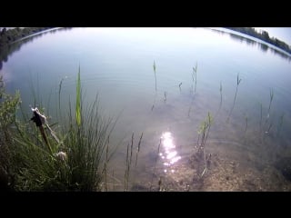 Petite pêche à la friture