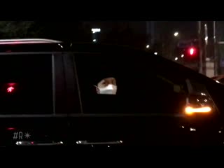 [fancam] 190307 vixx ravi after m countdown pre record