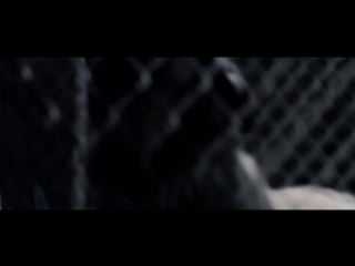 Тэлон фолз / talon falls (2017)