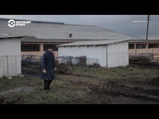 Порно видео фильм про деревню и доярок