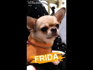 Chiara e michele bravi @ snapchat / 20 11 16