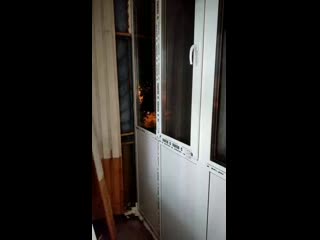 Vid 20200918 184831 mp4