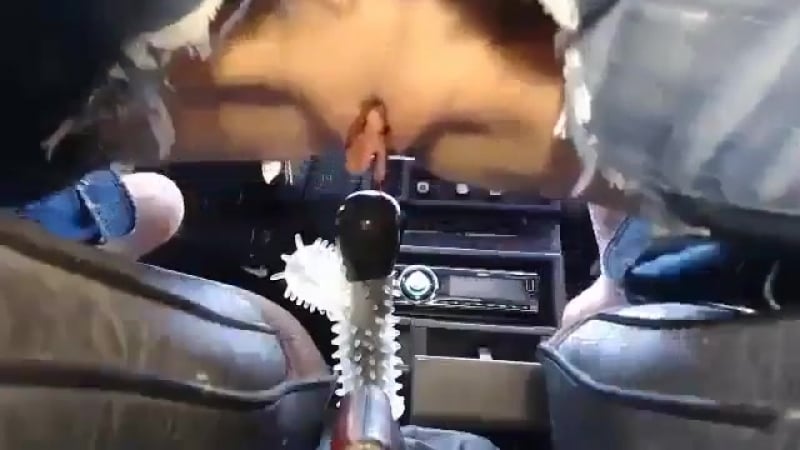 Забрызгала коробку передач