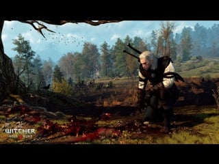 Witcher 3 wild hunt goty edition