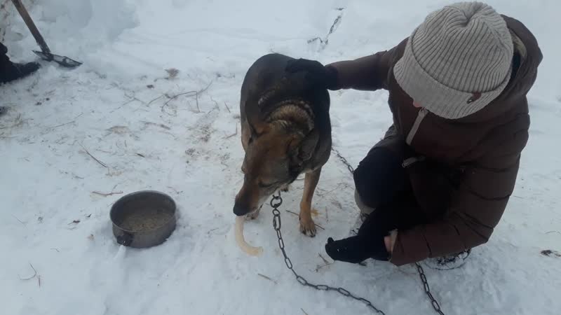 Мурка очень ласковая, но пока еще робкая