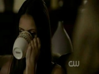 Damon and elena wild love and sexy