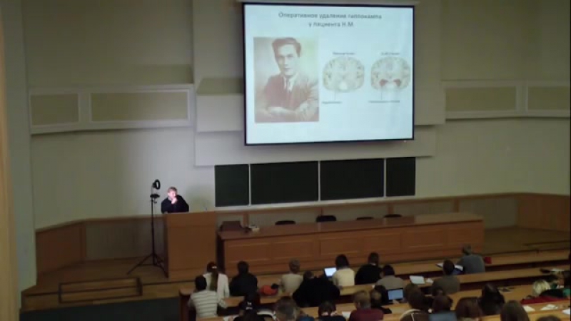 Анохин константин амнезии – окно в мир памяти и мир мозга