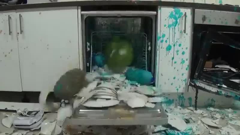 Помыл посуду