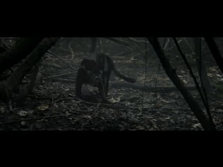 Затерянный город z русский трейлер (дубляж, 2017)