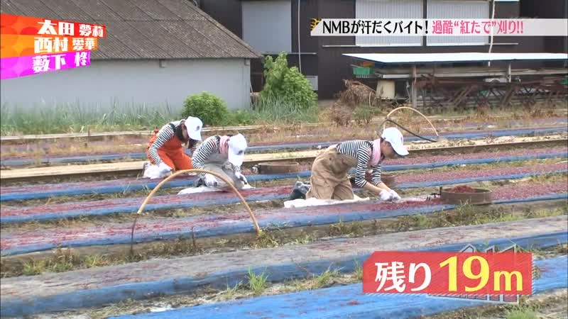 (nmb48) nmb no meccha baito ep09 140909