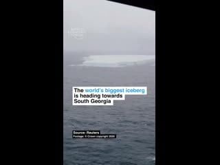 Leonardodicaprio video 1607973059384 mp4