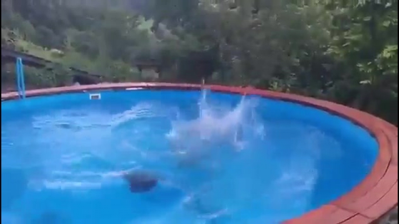 Синхронное плавание