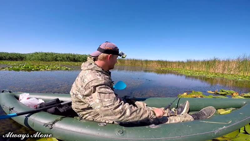 Рыбалка на карася в зарослях камыша и кувшинки рыбалка на поплавок поклёи крупным планом