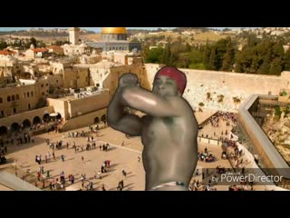 Ебанутый рикардо милос объелся фалафеля в израиле и зафлексил у стены плача hd mp4