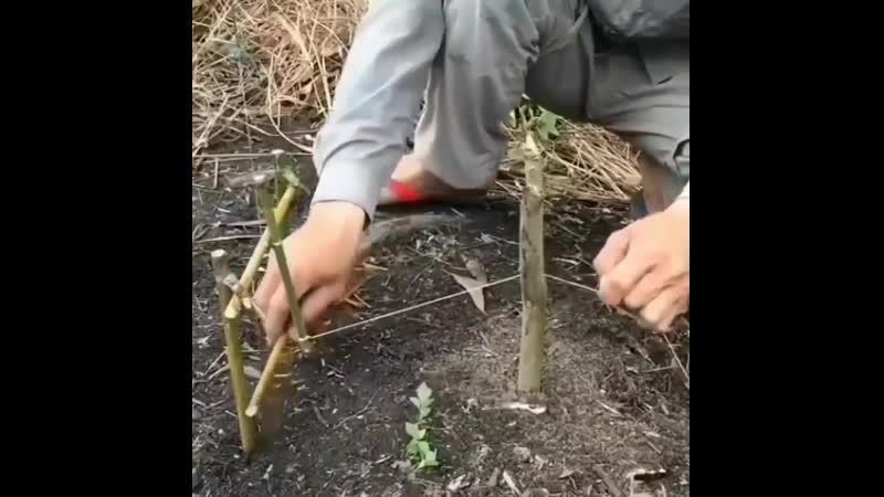 Хорошо придумано😁👍 [jhjij ghblevfyj😁👍