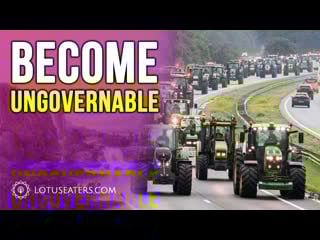 Chad dutch farmers vs virgin wef government